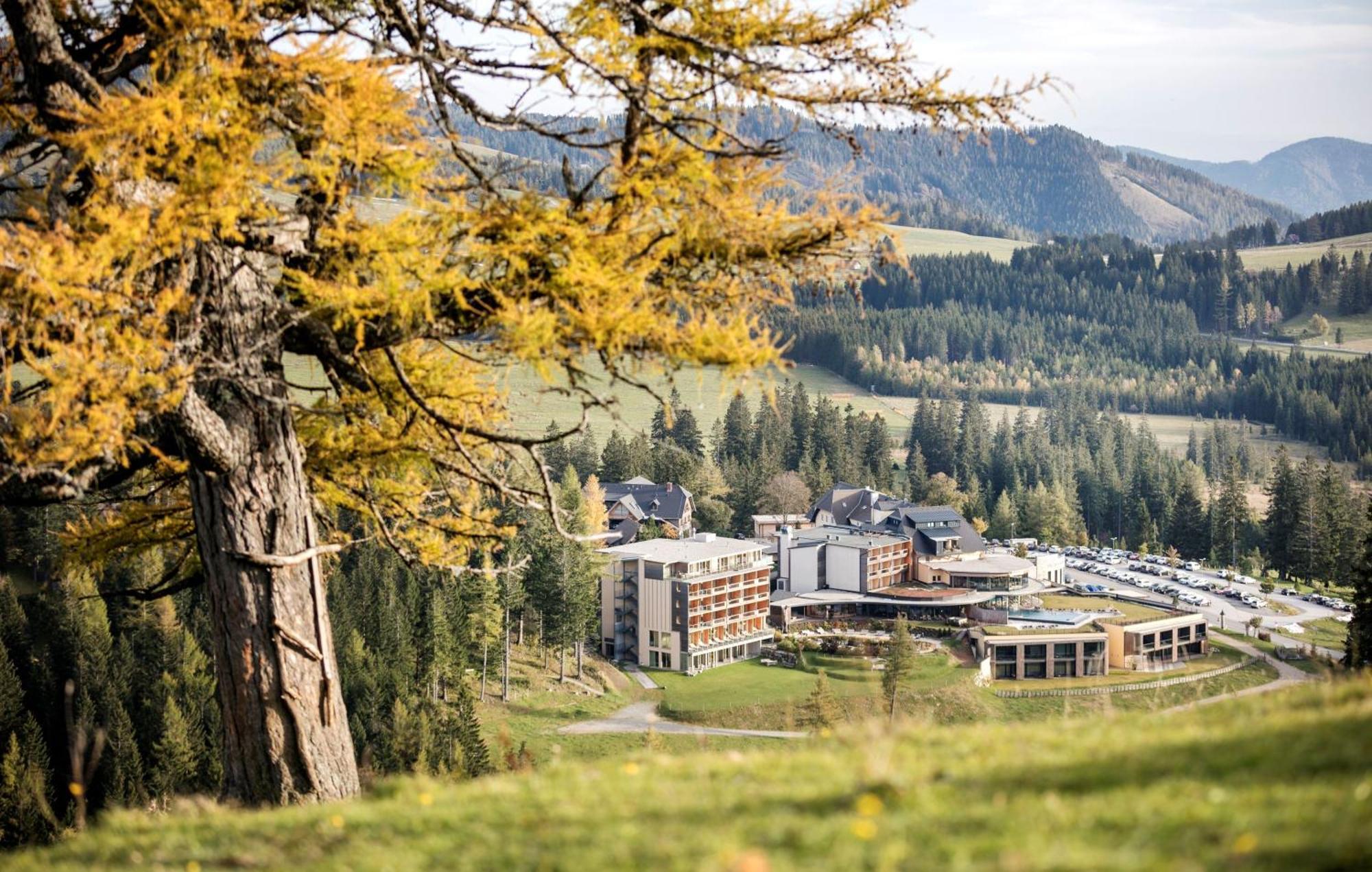 Almwellness Pierer Hotel 4*